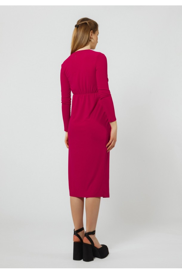 HALJINA Ž.I. A238302 FUKSIJA